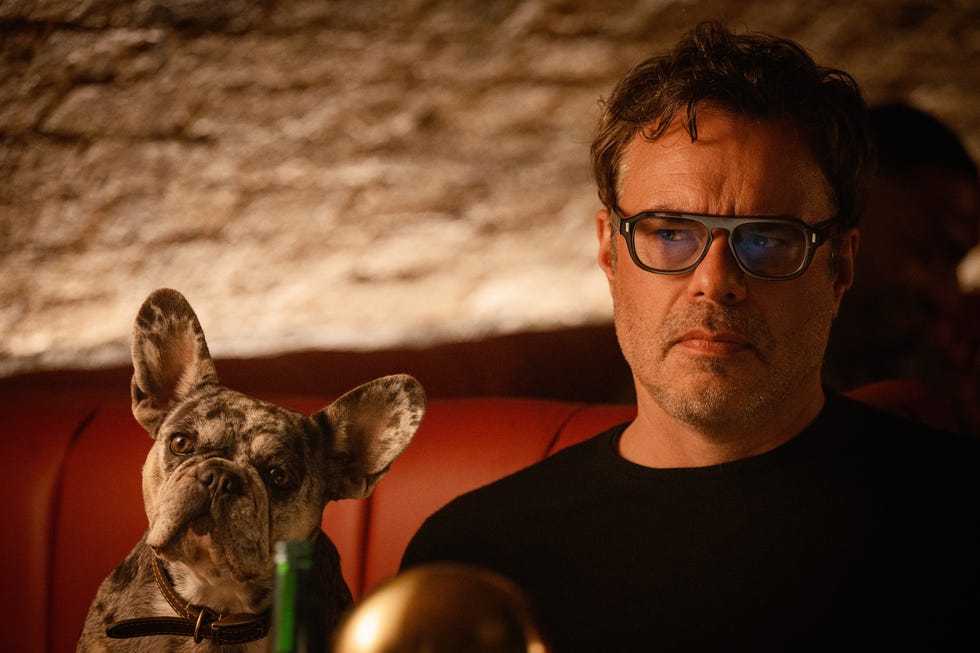 jemaine clement, alice and steve