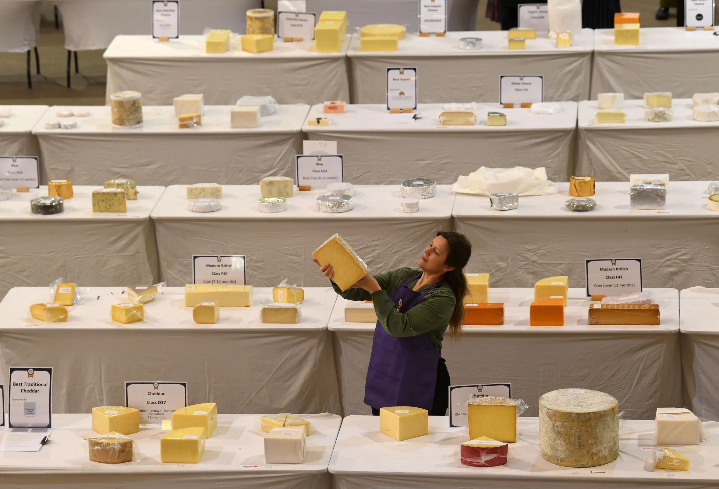 Sarah Furno, an Irish judge, inspecting a large block of blue cheese at the British & Irish Cheese Awards.