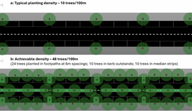 Urban forestry for cooler cities faces three critical hurdles