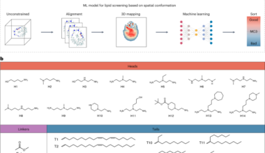 Artificial intelligence-guided design of LNPs for in vivo targeted mRNA delivery via analysis of the spatial conformation of ionizable lipids