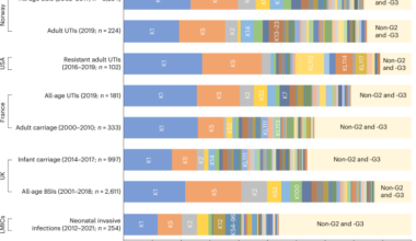 Identification of transporter-dependent capsular loci associated with the invasive potential of Escherichia coli