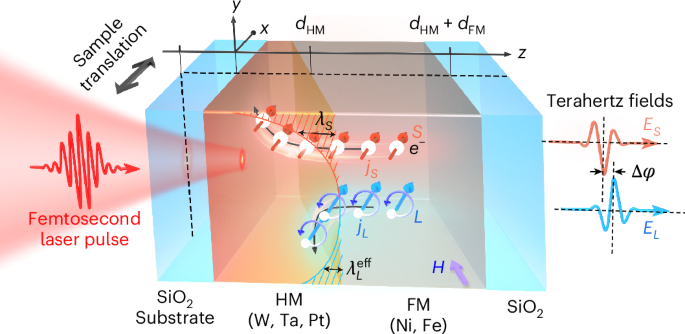 Evidences of subnanometre orbital diffusion length in heavy metals using terahertz emission spectroscopy