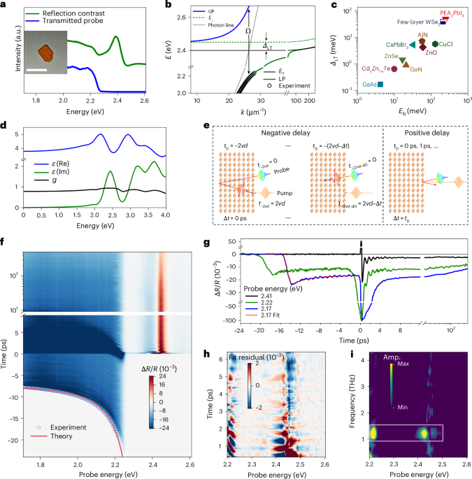 Large exciton longitudinal–transverse splitting enables room-temperature ultrafast coherent polaritonics in layered perovskite crystals