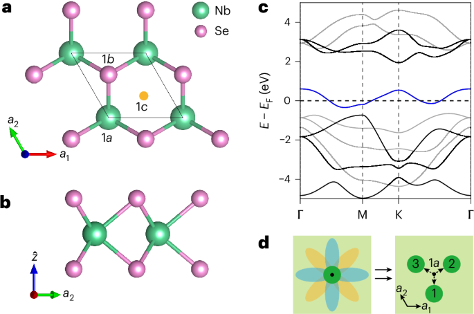 Observation of an obstructed atomic band in a transition metal dichalcogenide