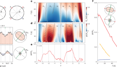 Angular interplay of nematicity, superconductivity and strange metallicity in magic-angle twisted trilayer graphene