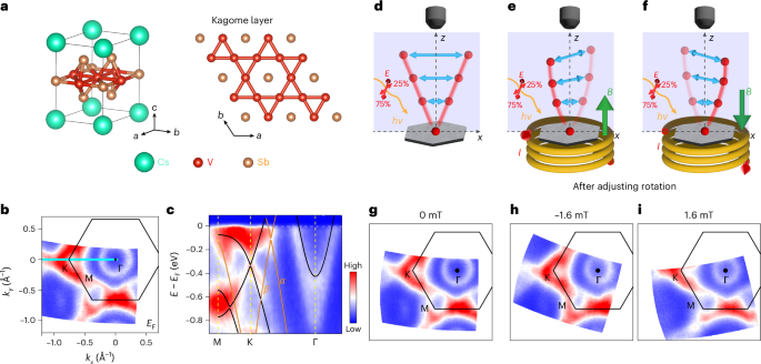 Magnetic field-induced momentum-dependent symmetry breaking in a kagome superconductor