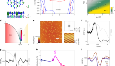 Origin of strange metallicity in a d-orbital kagome metal