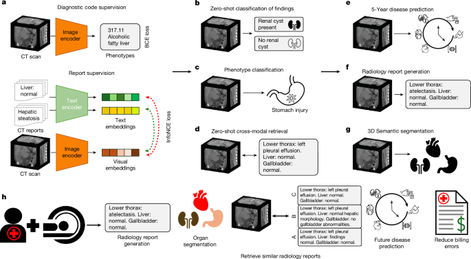 Merlin: a computed tomography vision–language foundation model and dataset