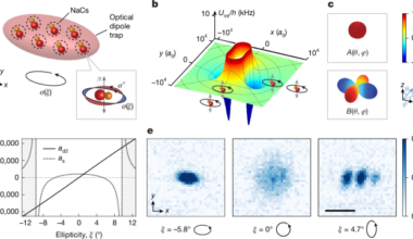 Observation of self-bound droplets of ultracold dipolar molecules