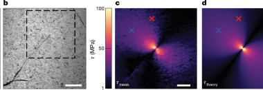Electrochemical corrosion accompanies dendrite growth in solid electrolytes