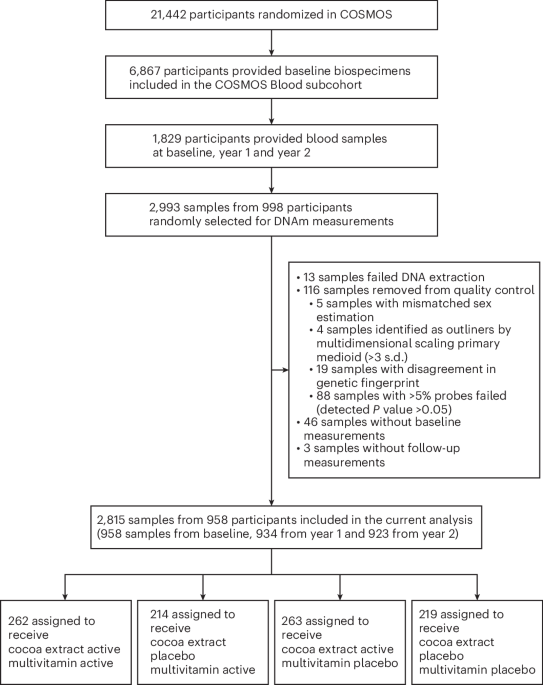Effects of daily multivitamin–multimineral and cocoa extract supplementation on epigenetic aging clocks in the COSMOS randomized clinical trial