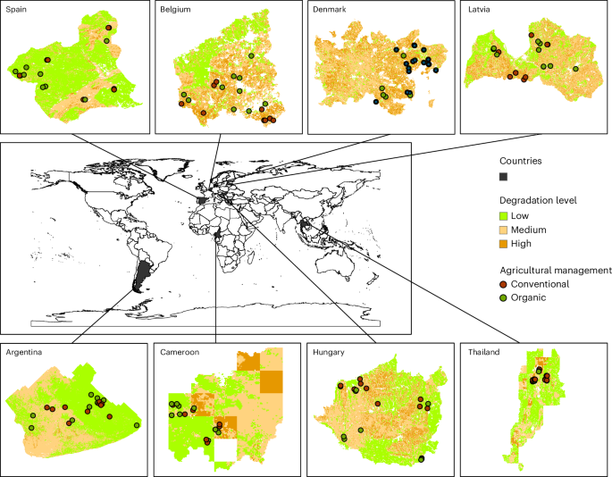 Optimizing biodiversity, multifunctionality and yield when transitioning to organic farming