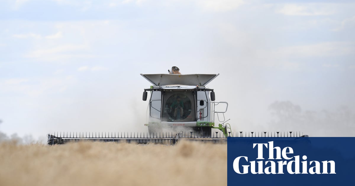 ‘It’s not panic-buying’: farmers defend stockpiling as regional Australia bears brunt of fuel crisis | Rural and regional Australia