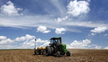 It could take months for energy-driven price spikes to show up in grocery bills, said Joe Glauber.