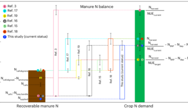 A framework for estimating manure nitrogen balance and recycling potential for current and future conditions in the USA
