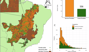 Mapping and revealing the tree biodiversity of the Brazilian Cerrado through biome-wide sampling efforts