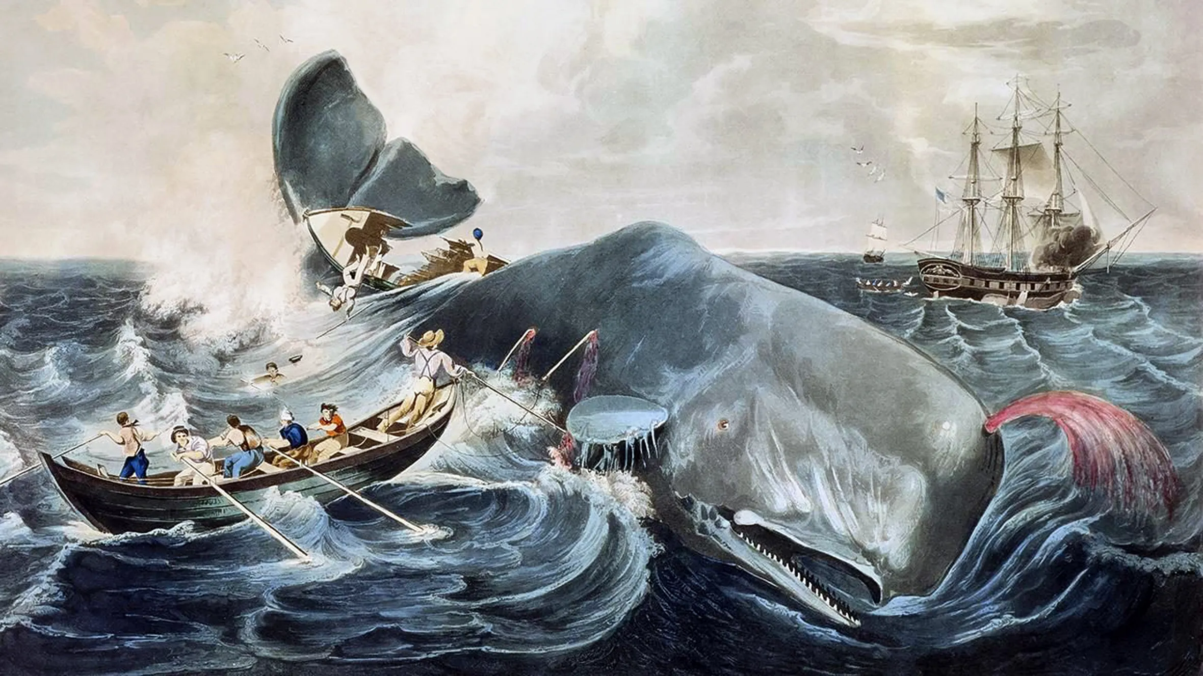 Illustration of whaling in the open sea, with a sperm whale, small boats, and a ship.