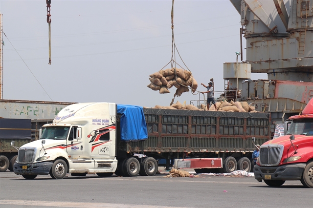 HCM City firms adjust markets to maintain jobs amid global shipping disruptions