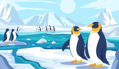 Long-term support for Linux releases gets a new lease on life