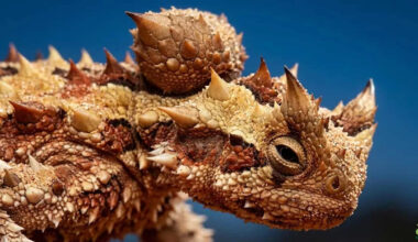 Yahoo lifestyle home