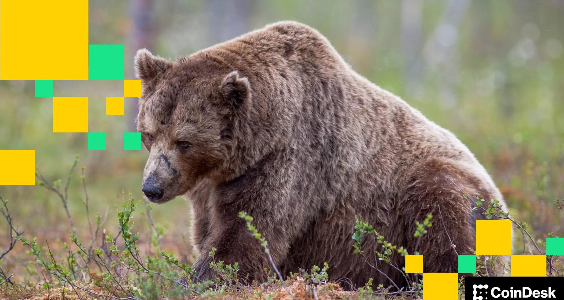 Crypto firms are ditching hundreds of workers to bet the house on AI