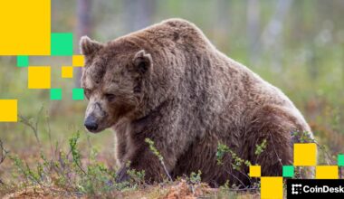 Crypto firms are ditching hundreds of workers to bet the house on AI