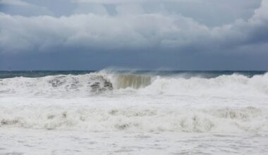 Satellite observations offer insight into a tsunami's early stages