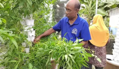 Expected price hikes for feed, fertilisers in Malaysia may have spillover effect on Singapore