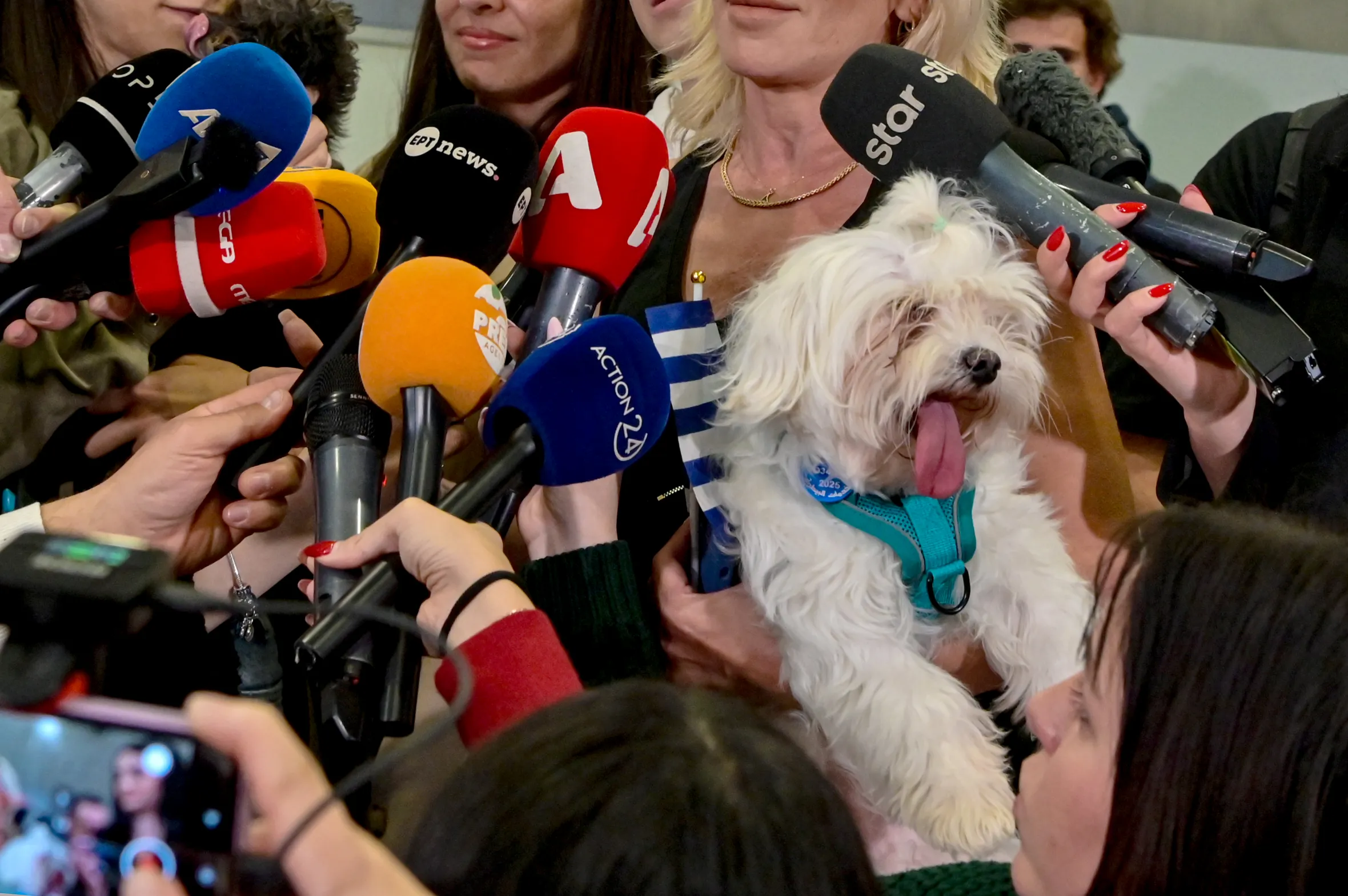 'Operation Ark' Brings Stranded Greeks And Their Pets From UAE