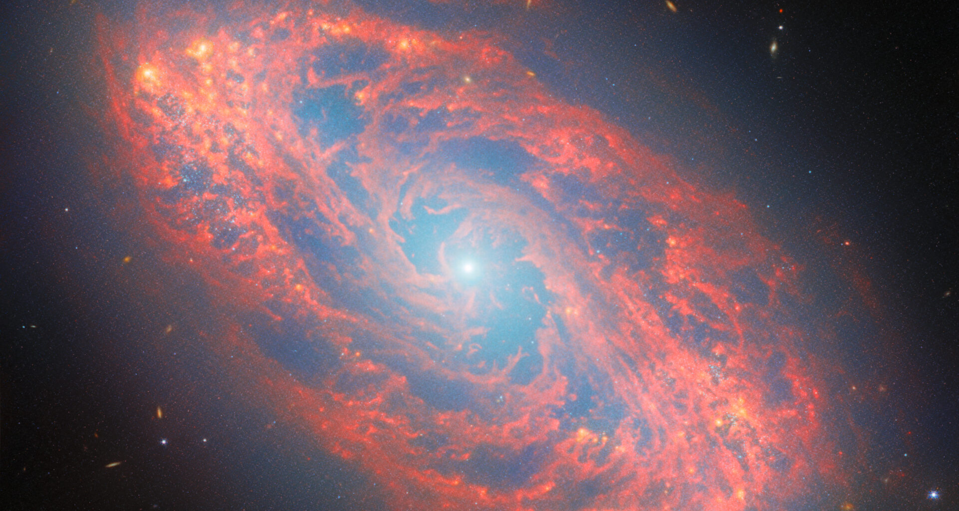 A spiral galaxy, seen tilted diagonally. It has a blue-white, glowing spot at its core. Its oval-shaped disc glows faintly blue throughout with light from its many stars. The disc is filled with waves and strands of bright red dust that swirl around the core. At places there are holes torn in the dust, while elsewhere it forms dense clumps that glow orange. Several tiny, distant galaxies appear across the background.