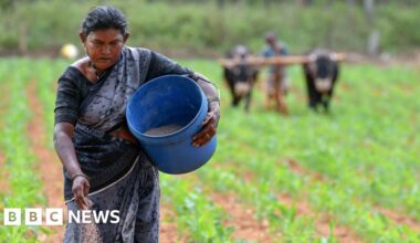 Iran war: India's fertiliser supply under strain after Hormuz blockade - BBC