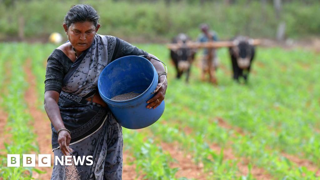 Iran war: India's fertiliser supply under strain after Hormuz blockade - BBC