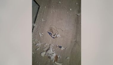 Suspected meteorite crashes into Houston woman's home amid citywide reports of 'boom'