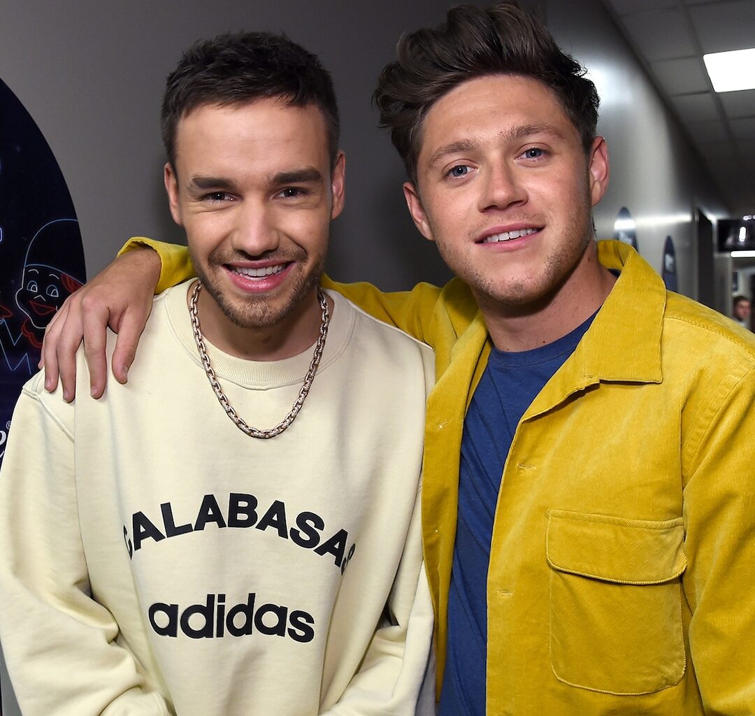 Niall Horan Song Lyrics Inspired by Liam Payne Death