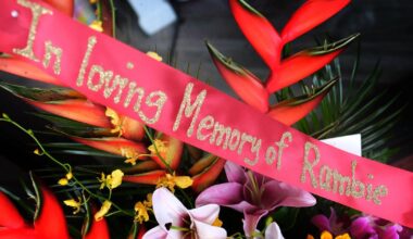 Foundation offers patients help with cost of cancer medications | Local News