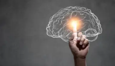 Nutrition Insight logo