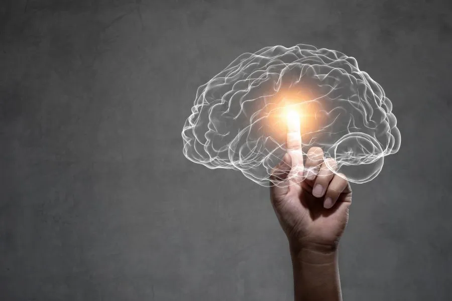 Nutrition Insight logo