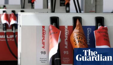 Albanese government could increase ethanol level in fuel as farmers warn on food prices | Australian economy