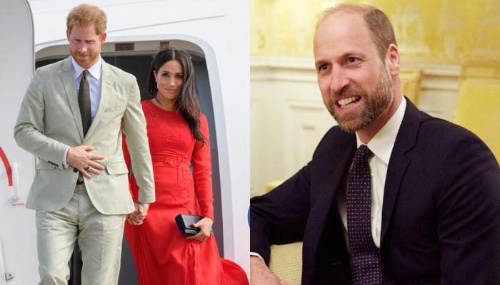 Prince Harry, Meghan Markle make huge offer to William: We can help