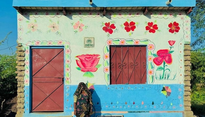 Pakistan's solar boom to tide over Middle East energy crisis