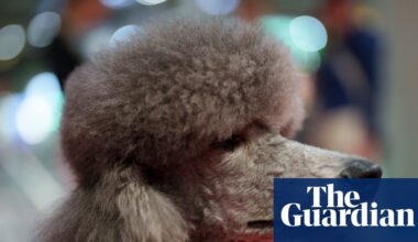 TV tonight: Crufts with Claudia Winkleman and Clare Balding | Television & radio