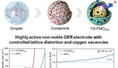 Boosting Water Electrolysis Catalyst Performance via Simultaneous Control of Lattice Distortion and Oxygen Vacancies!