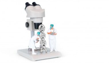 Mutant Gene Behind Aggressive Adult Leukemia Offers New Clues for Treatment