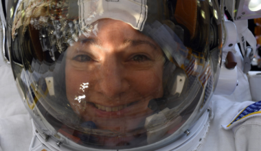 Astronaut captures out-of-this-world selfie during spacewalk | National