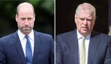 Yahoo entertainment home