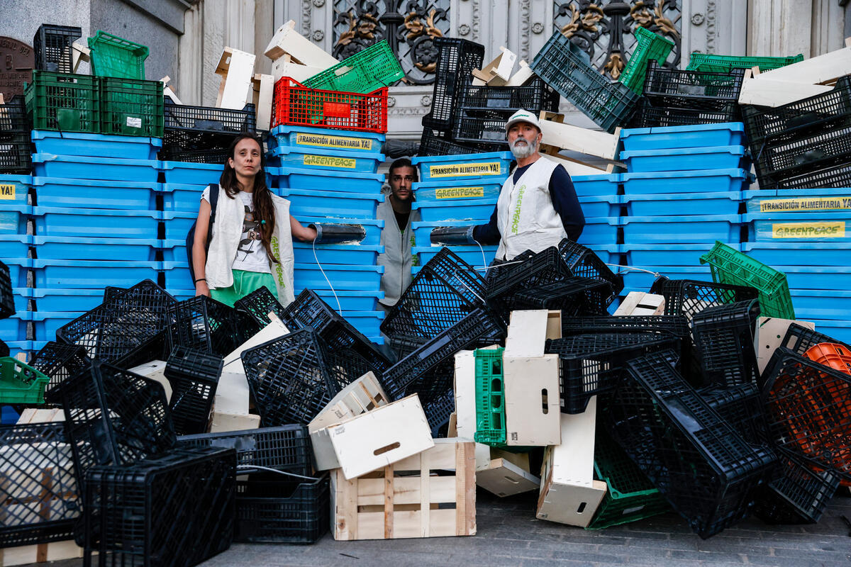 Empty Boxes Delivered to the Ministry of Agriculture in Spain. © Pablo Blazquez / Greenpeace