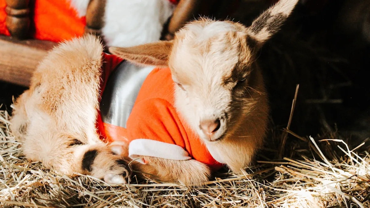 Yahoo lifestyle home