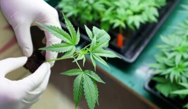 The Jerusalem Post - Israel News