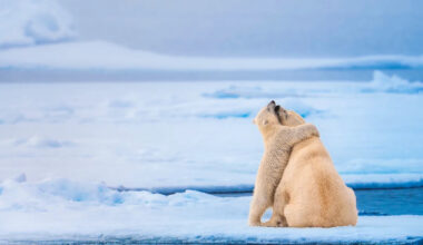 Yahoo entertainment home