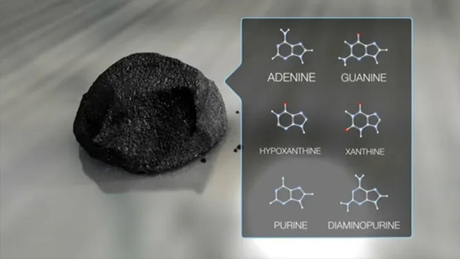dna in asteroid fragment